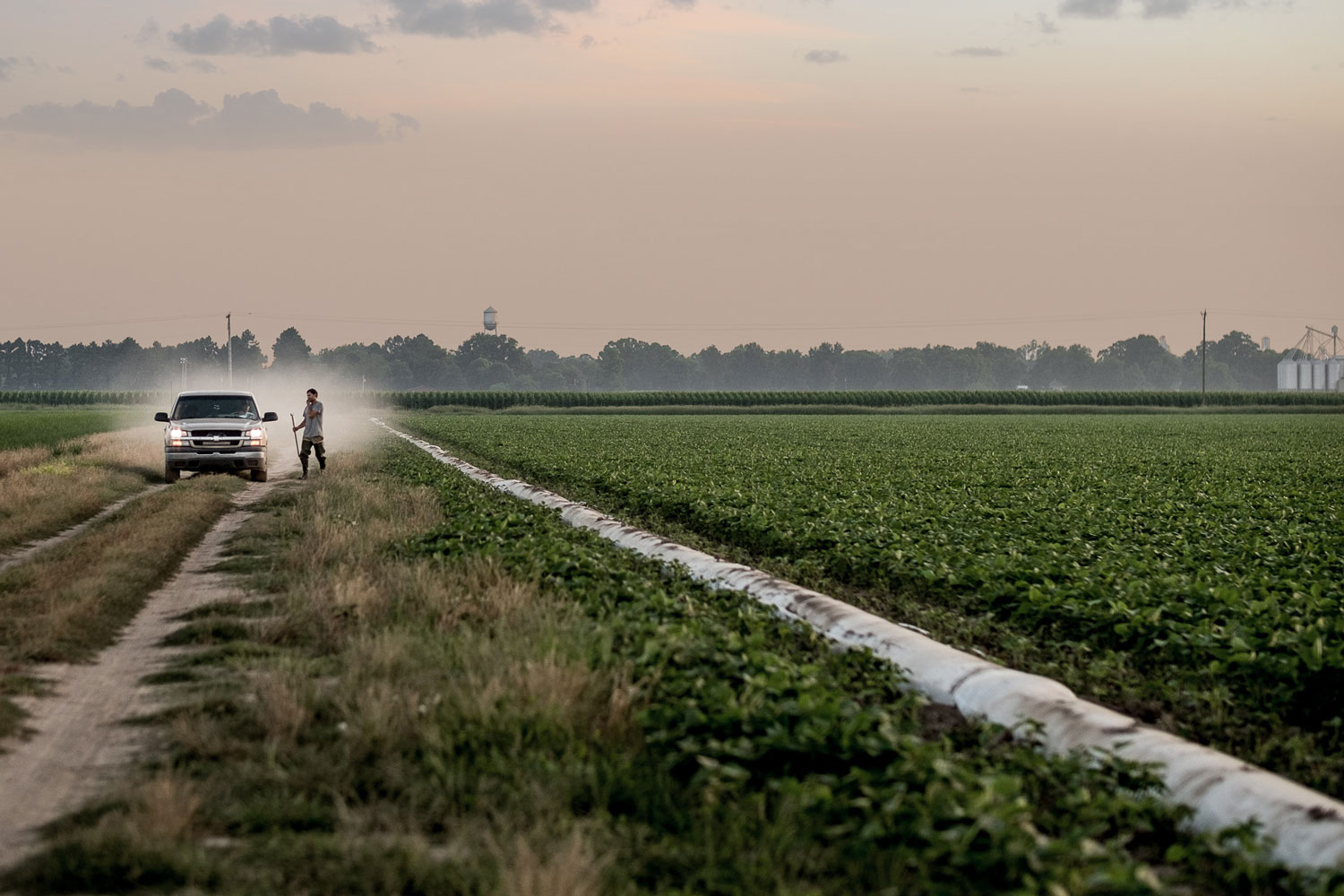 Two farmers taking care of the fields.