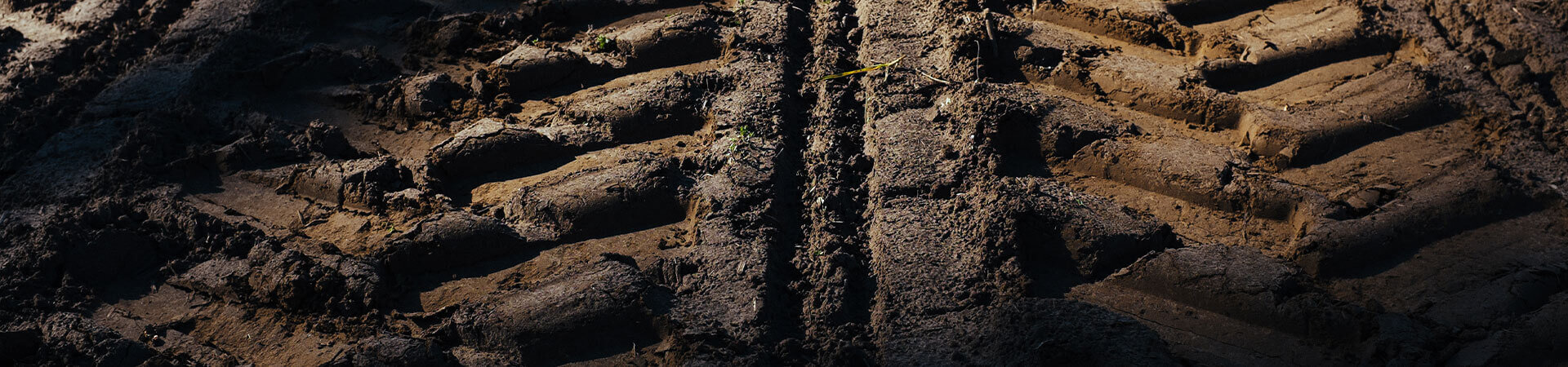 Tire tracks in a muddy field.