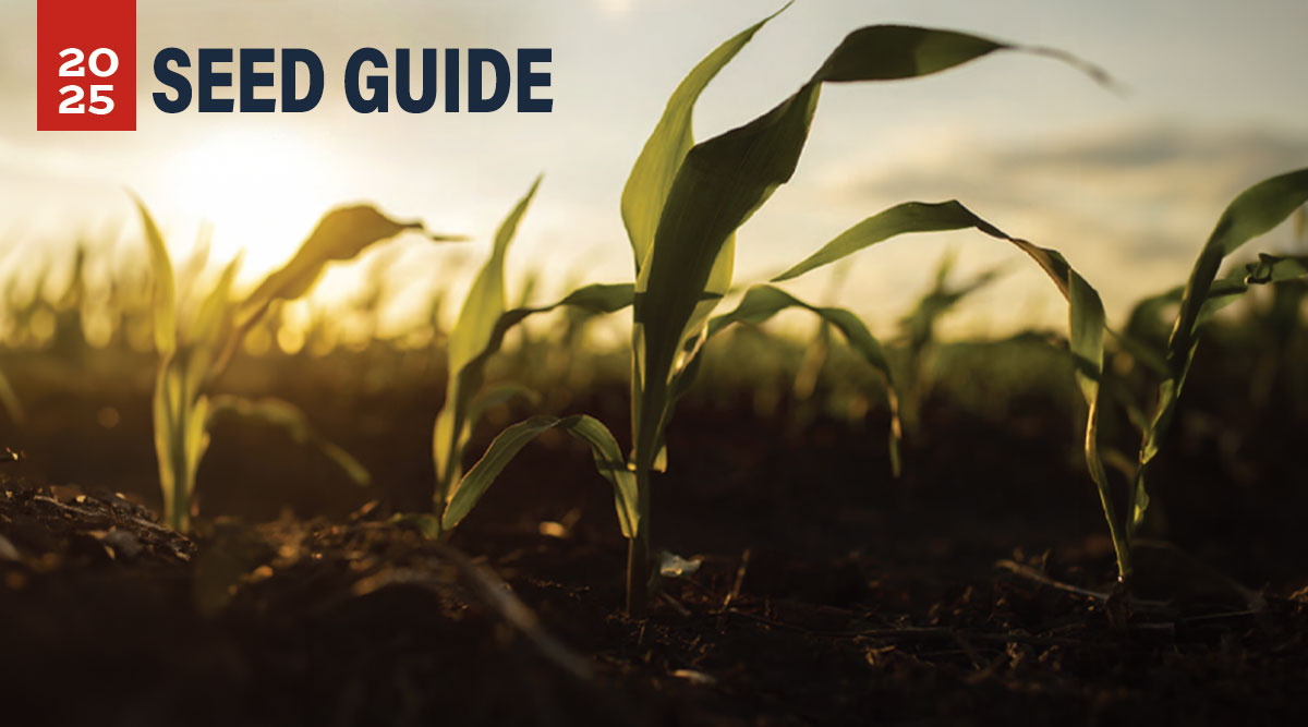 Revere Seed Guide 2025